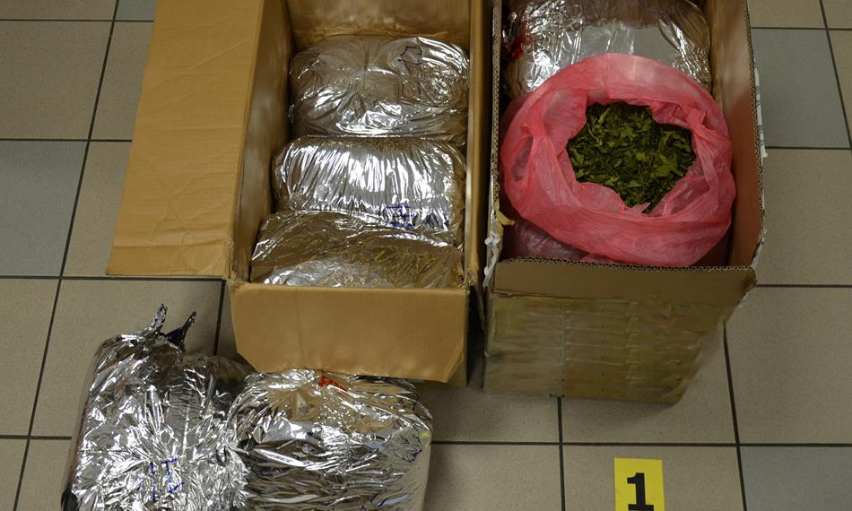 2019-1-3-83foto 2.jpg